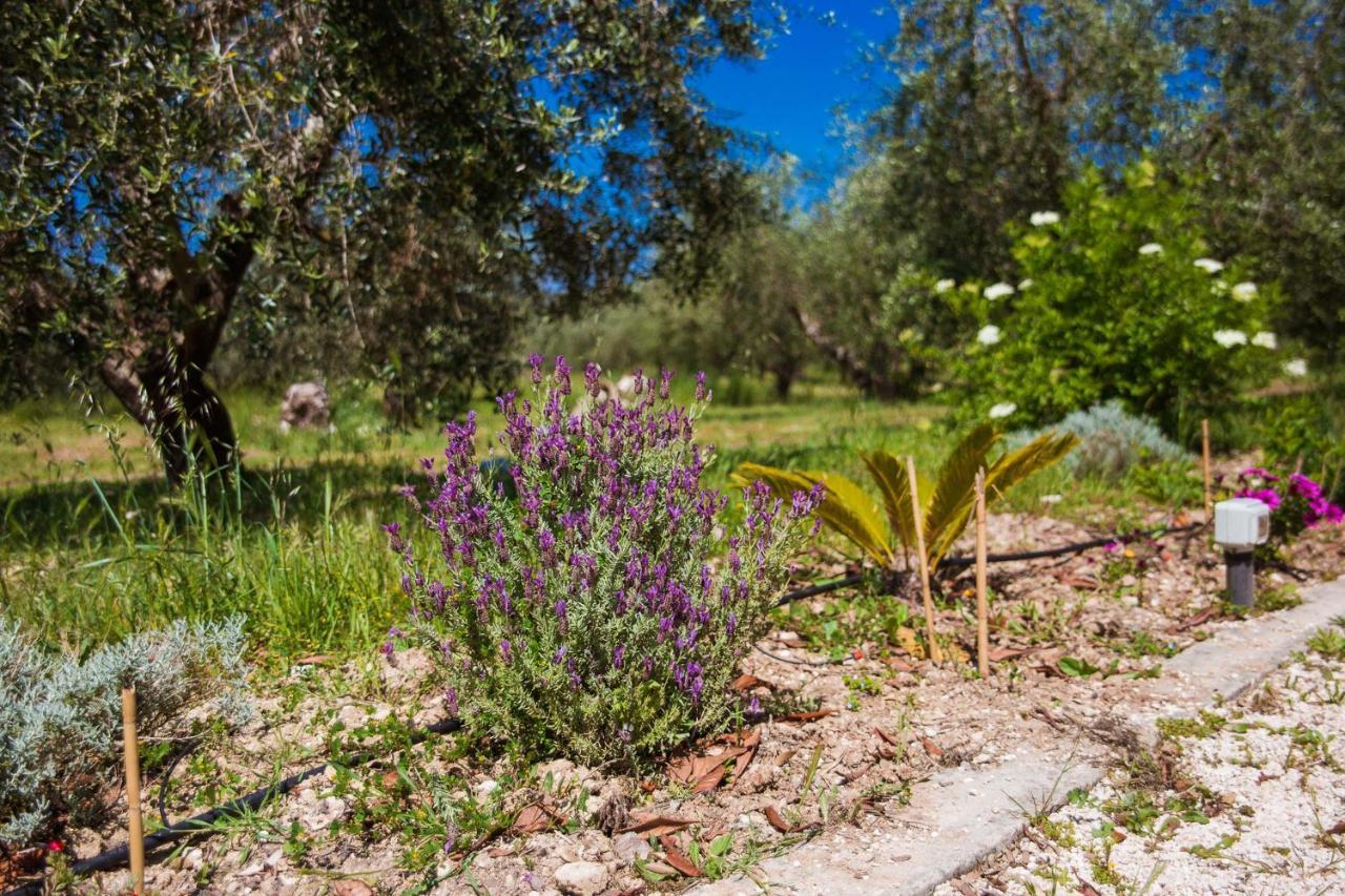 Agriturismo Biologico Piccapane Cutrofiano Exterior photo